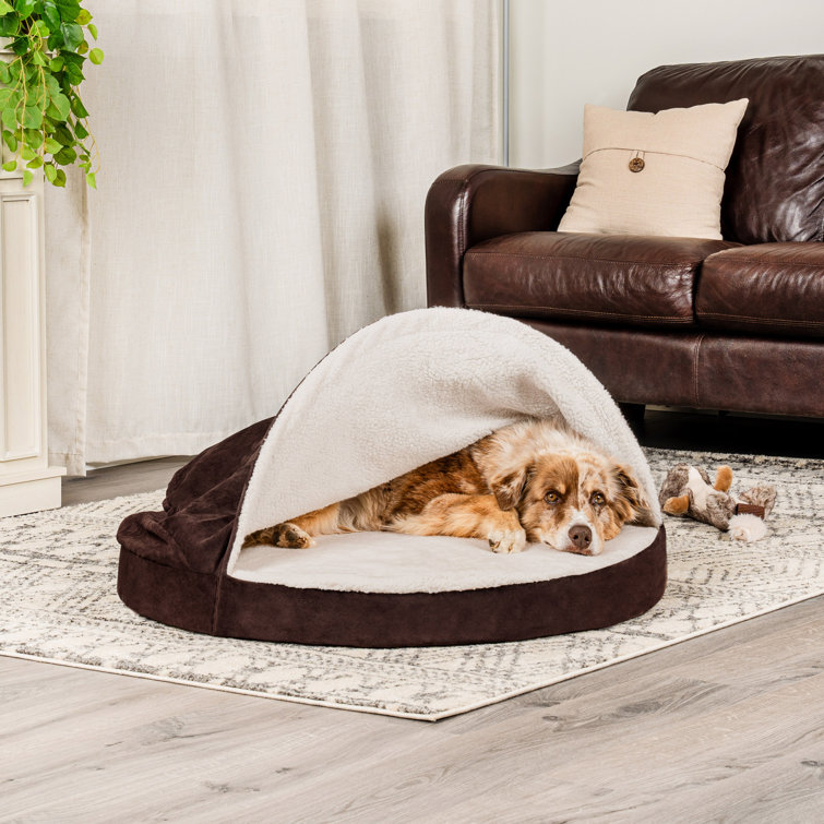 Small dog store bed with hood